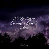 25 Zen Rain Sounds - Spa & Sleep