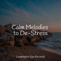 Calm Melodies to De-Stress