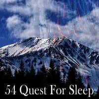 54 Quest for Sleep