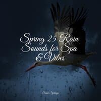 Spring 25 Rain Sounds for Spa & Vibes