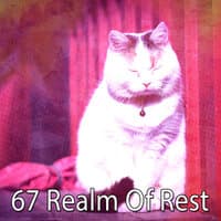 67 Realm of Rest