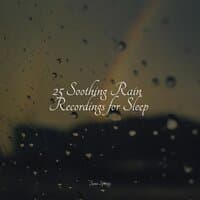 25 Soothing Rain Recordings for Sleep