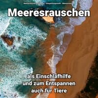 Meeresrauschen als Einschlafhilfe und zum Entspannen auch für Tiere