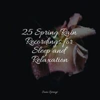 25 Spring Rain Recordings for Sleep and Relaxation