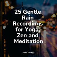 25 Gentle Rain Recordings for Yoga, Zen and Meditation