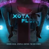 Xota Flow