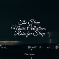 The Slow Music Collection: Rain for Sleep