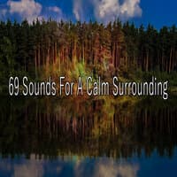 69 Sounds for a Calm Surrounding