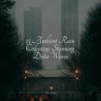 25 Ambient Rain Collection: Stunning Delta Waves