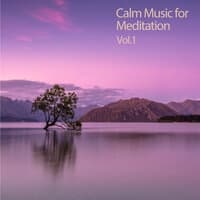 Calm Music For Meditation Vol.1