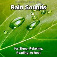 Rain Sounds for Sleep, Relaxing, Reading, to Rest