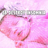 56 Destroy Insomnia