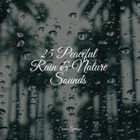 25 Peaceful Rain & Nature Sounds