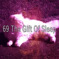 69 The Gift of Sleep