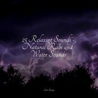 25 Relaxing Sounds - Natural Rain and Water Sounds