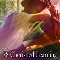 78 Cherished Learning