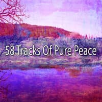 58 Tracks of Pure Peace