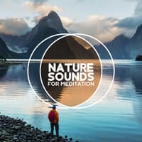 Nature Sounds for Meditation - Soothing Music of Birds, Water, Ocean Waves for Better Concentration