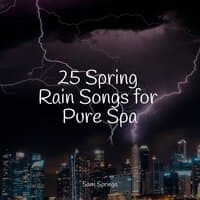 25 Spring Rain Songs for Pure Spa