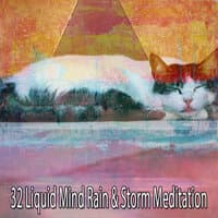 32 Liquid Mind Rain & Storm Meditation