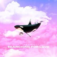 Searching For Love