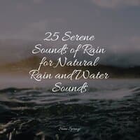 25 Serene Sounds of Rain for Natural Rain and Water Sounds