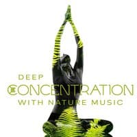 Deep Concentration with Nature Music