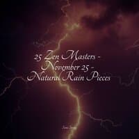 25 Zen Masters - November 25 - Natural Rain Pieces