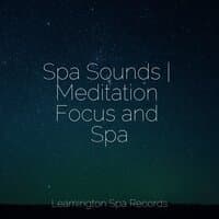 Spa Sounds | Meditation Focus and Spa