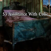 53 Assistance with Colic