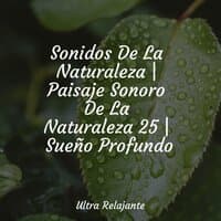 Sonidos De La Naturaleza | Paisaje Sonoro De La Naturaleza 25 | Sueño Profundo