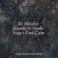 30 Blissful Sounds to Guide Yoga & Find Calm