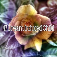 47 Dream Induced Child