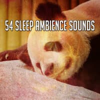 54 Sleep Ambience Sounds