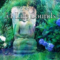 54 Life Sounds