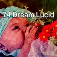 74 Dream Lucid