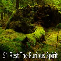 51 Rest the Furious Spirit