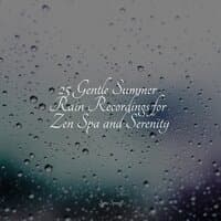 25 Gentle Summer Rain Recordings for Zen Spa and Serenity