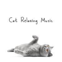 Cat Relaxing Music: Pet Songs with Calming Nature Sounds for Male and Female Cats