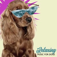 Relaxing Music for Dogs - Soothing Nature Sounds Collection for Our Pet Friends