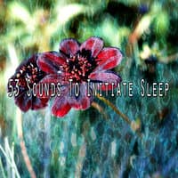 53 Sounds to Initiate Sleep