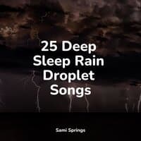 25 Deep Sleep Rain Droplet Songs