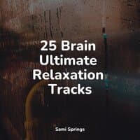 25 Brain Ultimate Relaxation Tracks