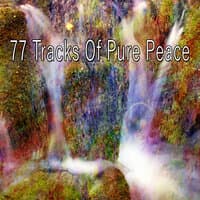 77 Tracks of Pure Peace