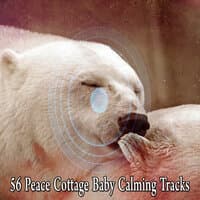 56 Peace Cottage Baby Calming Tracks