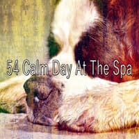 54 Calm Day at the Spa