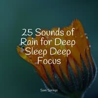 25 Sounds of Rain for Deep Sleep Deep Focus