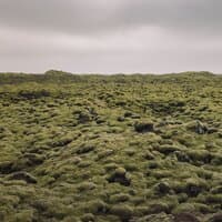 Sonidos Relajantes De La Naturaleza | Sueño Profundo