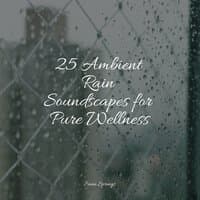 25 Ambient Rain Soundscapes for Pure Wellness