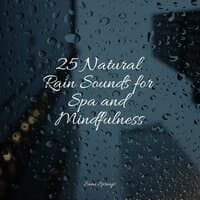 25 Natural Rain Sounds for Spa and Mindfulness